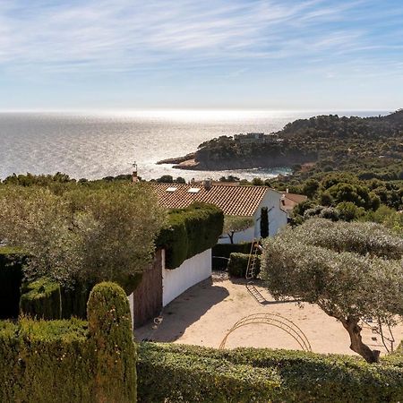 Alta House Apartments Sa Blava Begur Eksteriør bilde