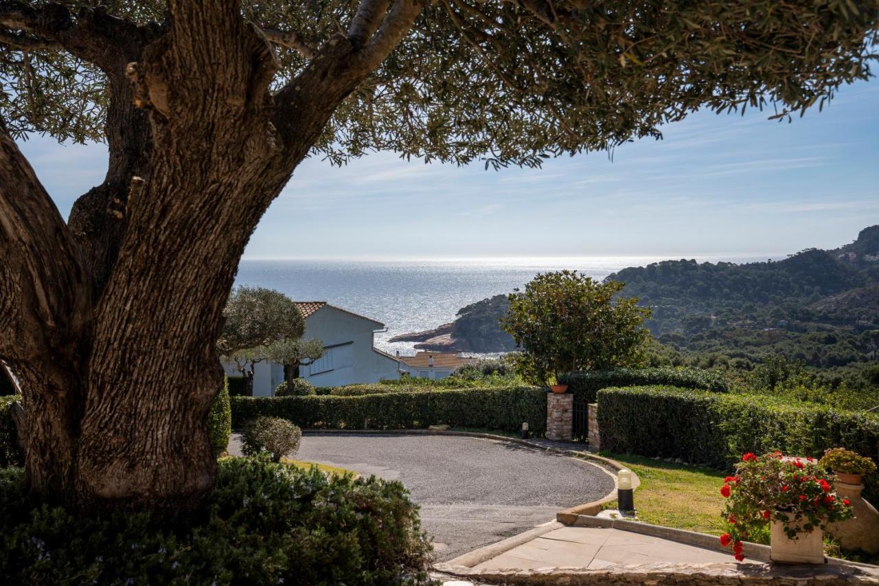 Alta House Apartments Sa Blava Begur Eksteriør bilde